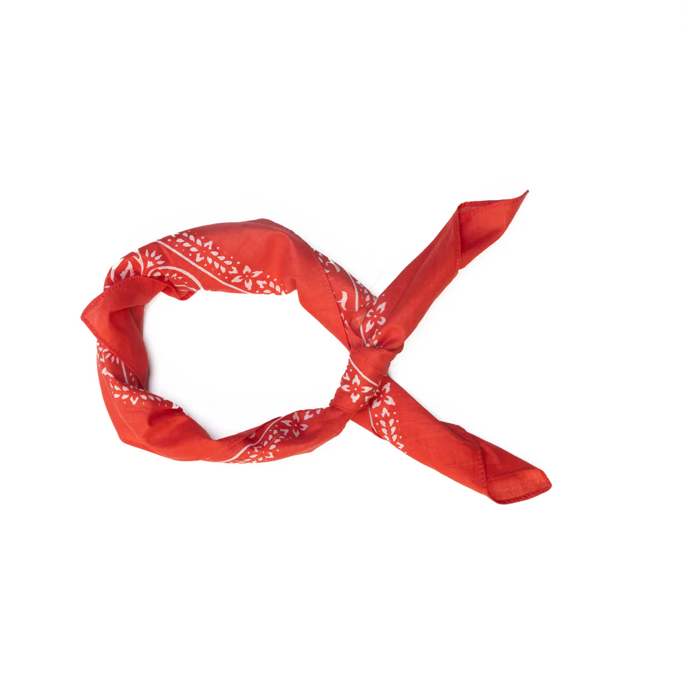 10932-rider-s-moon-bandana-in-red-1.webp