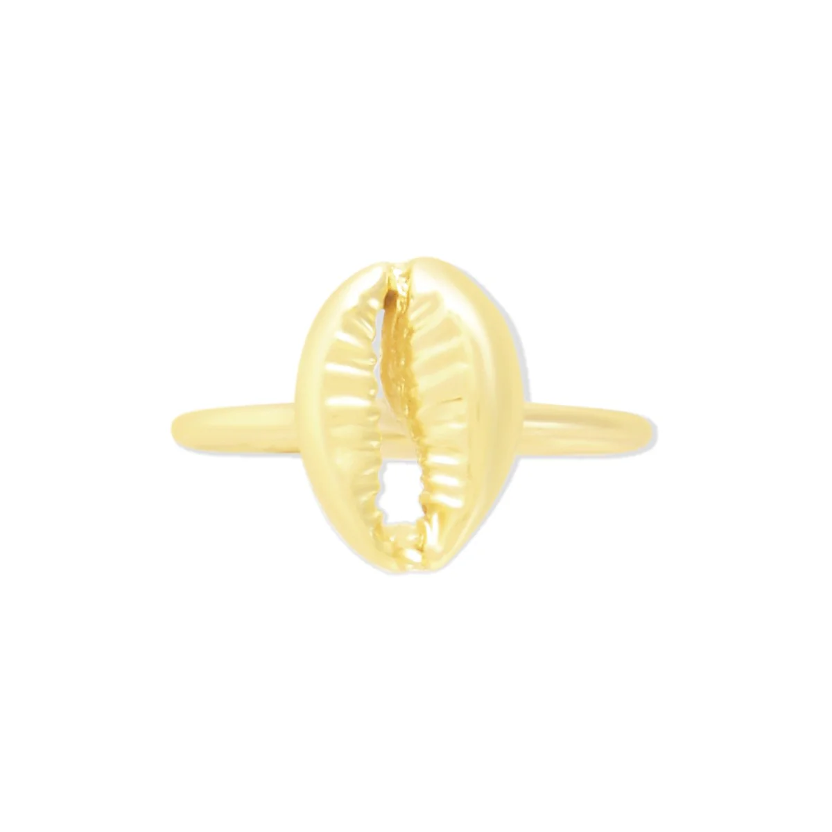 SHELL RING 1 11722-shell-ring-1.webp