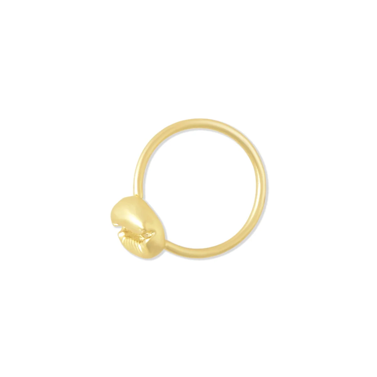 11722-shell-ring-1.webp