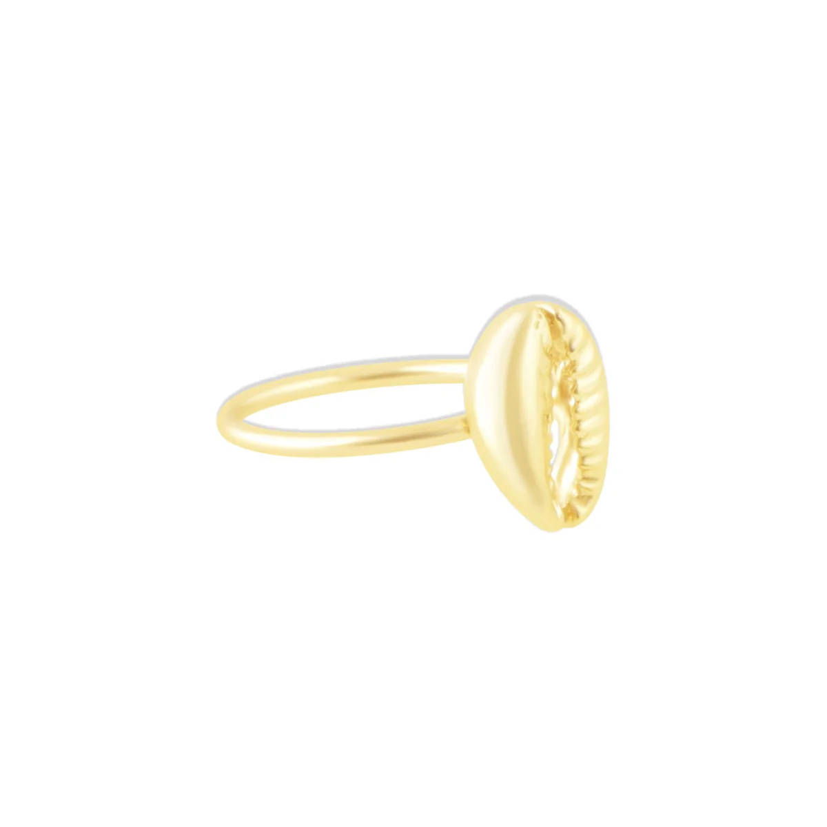 11722-shell-ring-1.webp