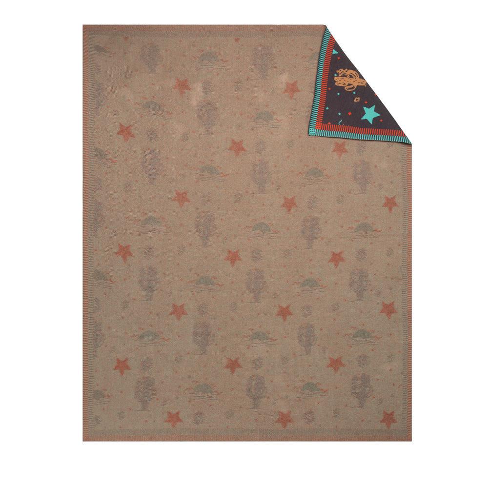 12373-starry-night-throw-1.webp