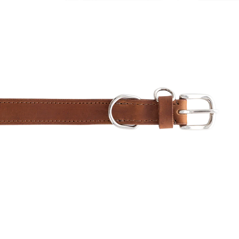 13341-topside-dog-collar-in-chocolate-1.webp