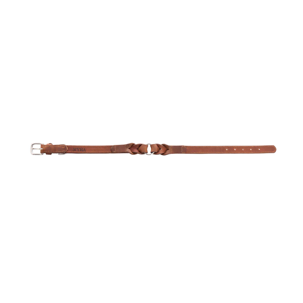 13341-topside-dog-collar-in-chocolate-1.webp