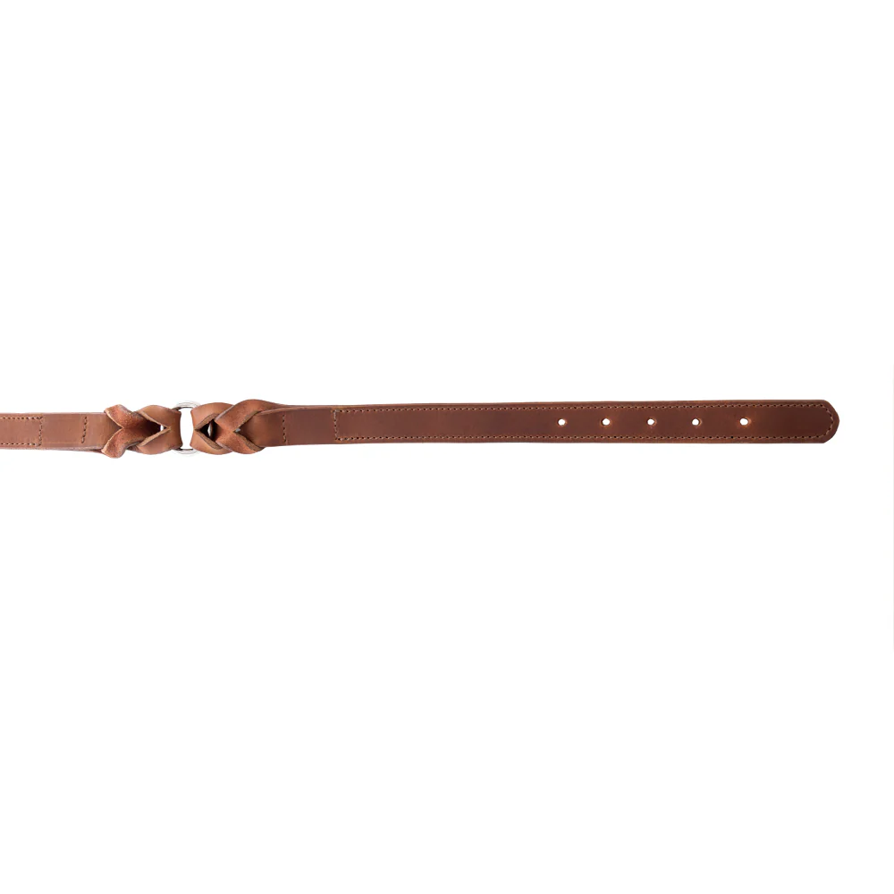 13341-topside-dog-collar-in-chocolate-1.webp