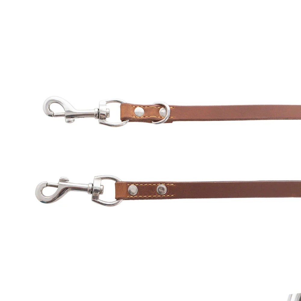 13848-viaje-dog-leash-in-caramel-1.webp