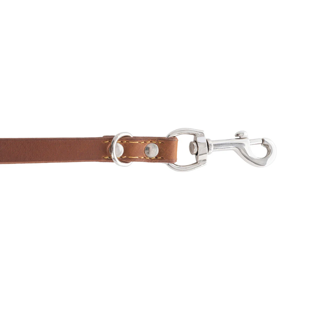 13848-viaje-dog-leash-in-caramel-1.webp