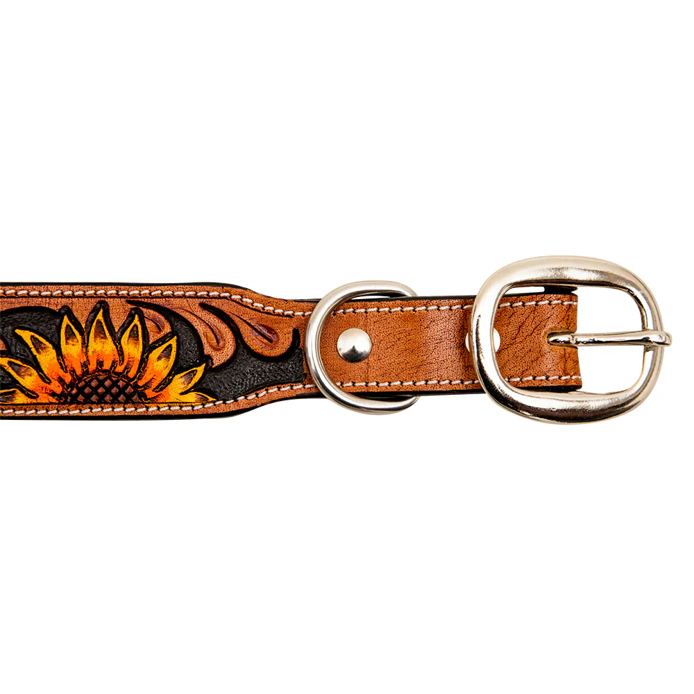 14667-zoomper-hand-tooled-leather-dog-collar-1.webp