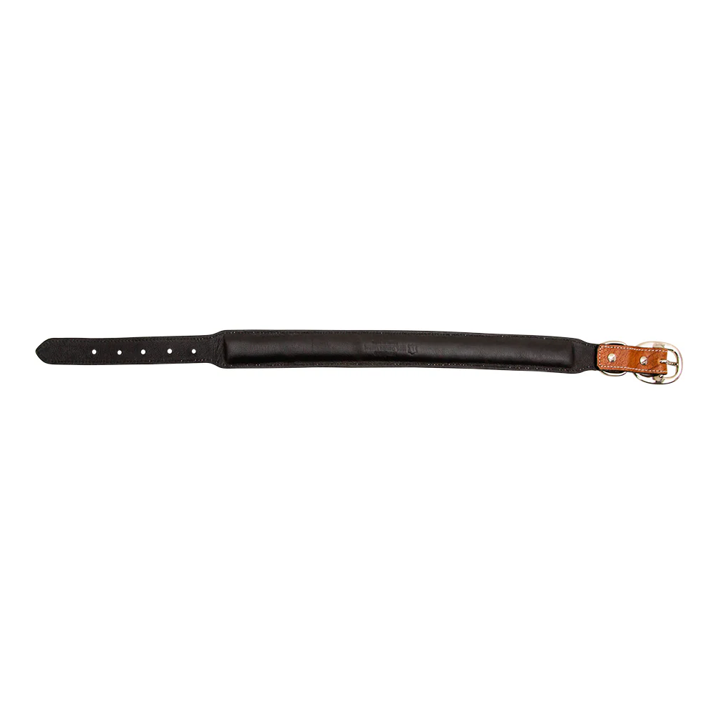 14667-zoomper-hand-tooled-leather-dog-collar-1.webp