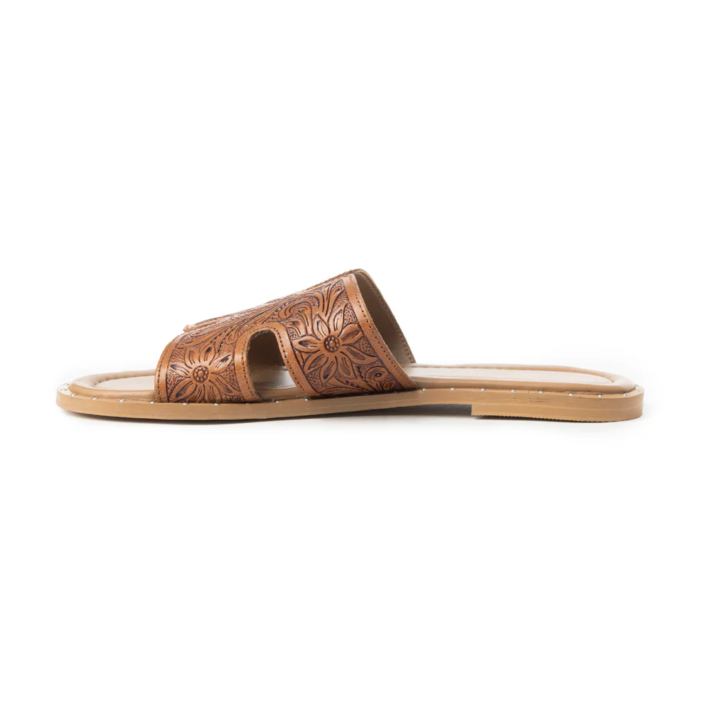 2635-carmina-anne-sandals-in-dark-brown-1.webp