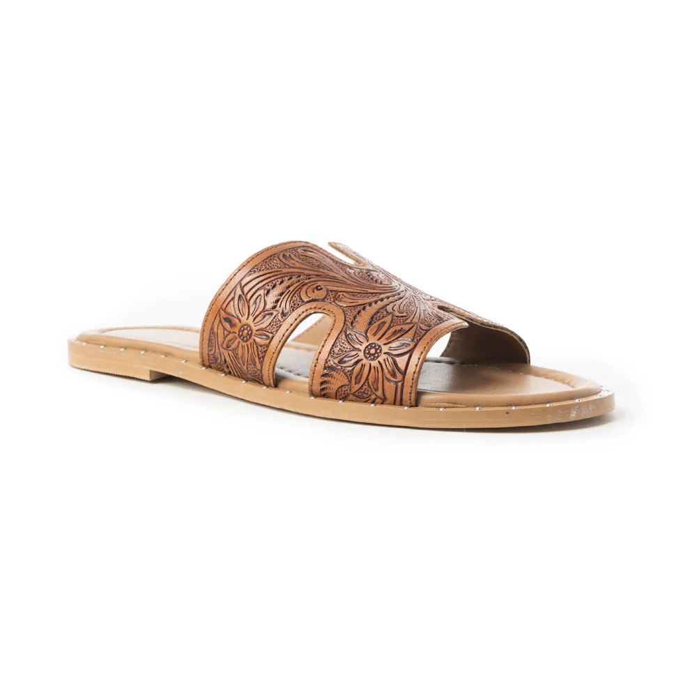 2635-carmina-anne-sandals-in-dark-brown-1.webp