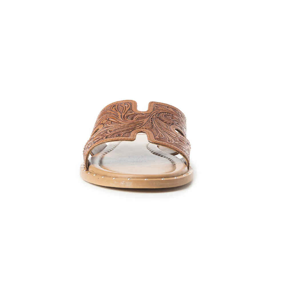 2635-carmina-anne-sandals-in-dark-brown-1.webp