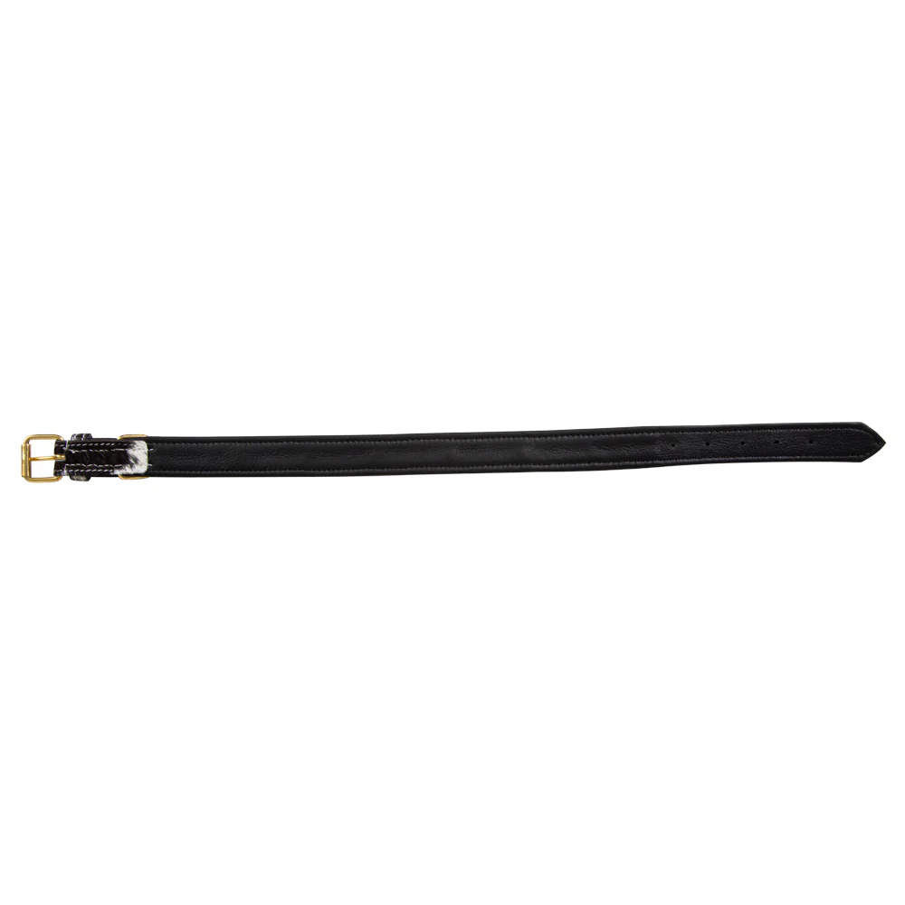 8670-monterey-hair-on-hide-dog-collar-1.webp