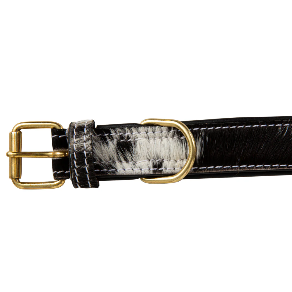 8670-monterey-hair-on-hide-dog-collar-1.webp