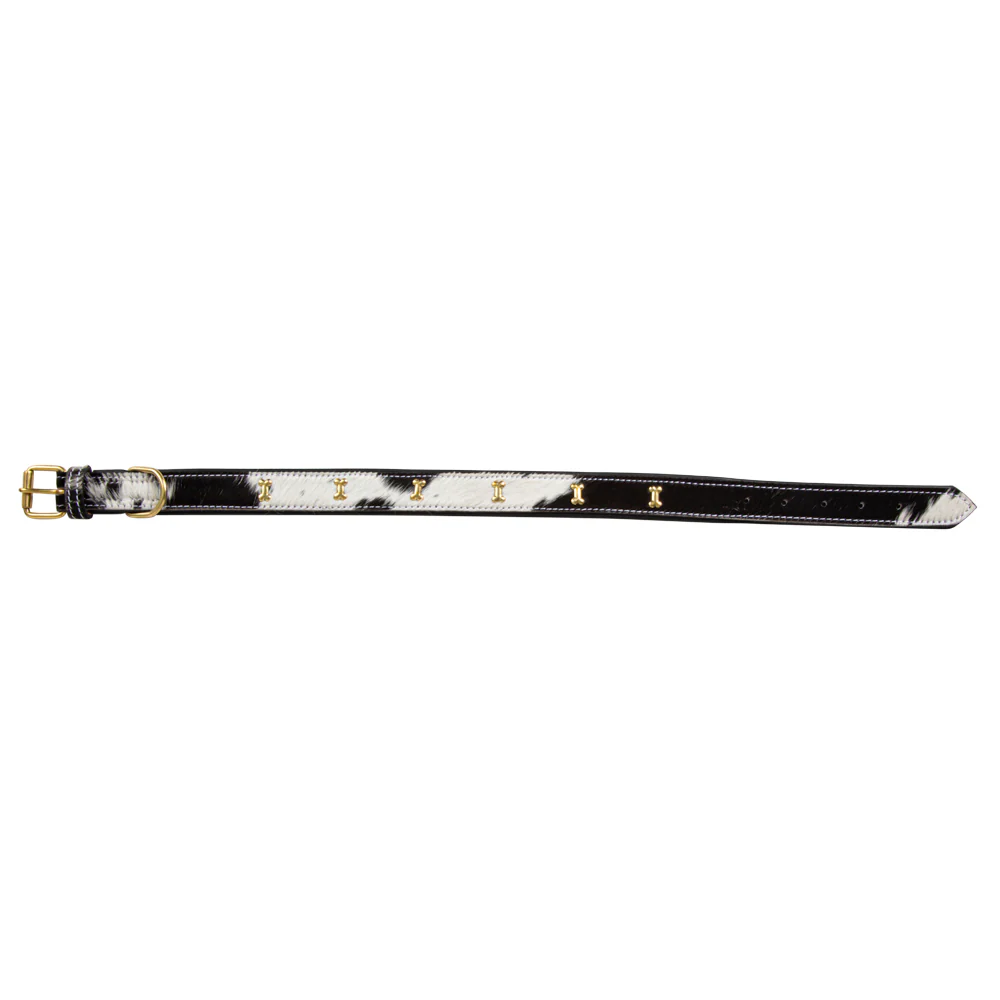 8670-monterey-hair-on-hide-dog-collar-1.webp