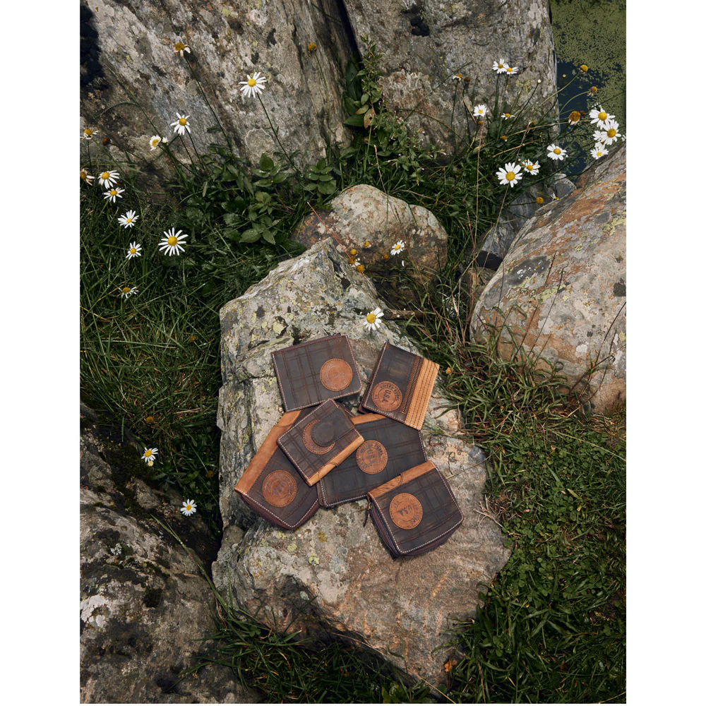 9353-nester-wallet-1.webp